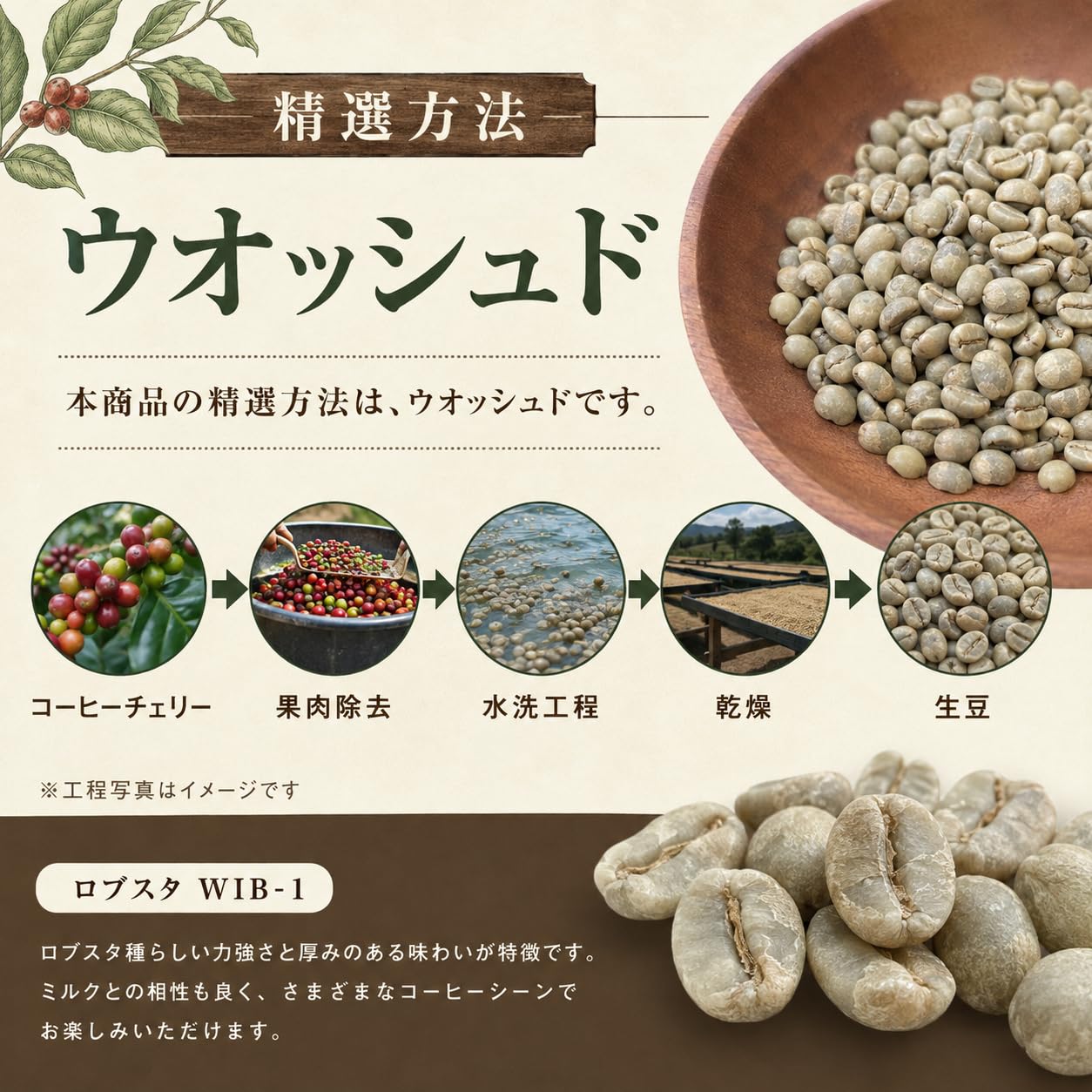 Amazon.co.jp: コーヒー生豆 インドネシア ロブスタ WIB-1